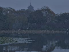 -西湖外事游船(花港观鱼码头)
