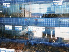 -大厨的餐厅(曾厝垵总店)