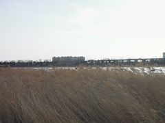 -绿堤公园