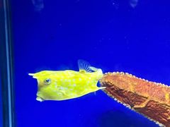 -海合安青岛极地海洋公园