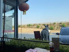 -漕河全驴宴饭店(徐水店)