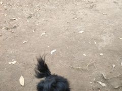 -杭州师范大学(下沙校区)