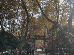 -杭州黄龙洞