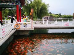 -长春市南湖公园