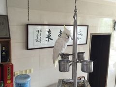-亮河湾山庄