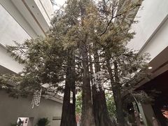 -中国湿地博物馆