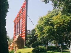 -合肥滨湖国家森林公园