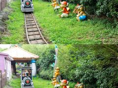 -杭州野生动物世界