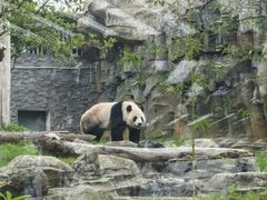 -武汉动物园