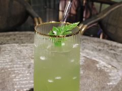 -樹下遇见树·咖啡