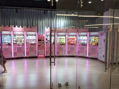 -棕榈MALL