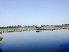 iphone_upload_pic-溱湖国家湿地公园