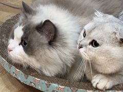 -悠米私人影院(街道口店)