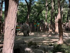 -北京野生动物园