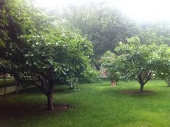 -利顺德大饭店·维多利亚花园(小白楼店)