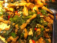 -淘蛙(广州星寰国际商业中心店)