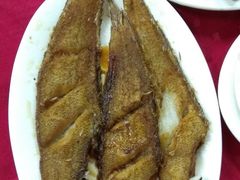-蛇口康乐快餐鱼仔档(翠苑小区店)