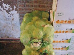 -椰荟四季音乐主题餐厅(大芬店)