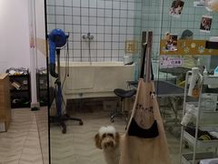 -Pets First伊珊娜洗护·精致美容·家庭式寄养(新会路店)