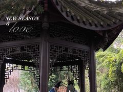-秀丽东方
