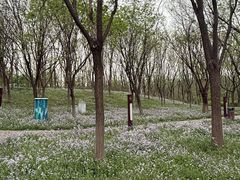 -听涛雅苑百味饺子老家菜馆
