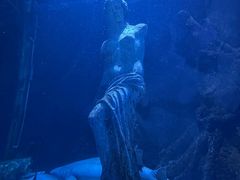 -太平洋海底世界