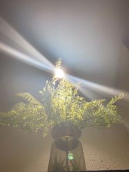 -香秀空间科技抗衰·美容中心