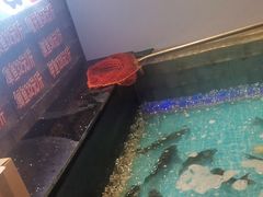 -山河屯铁锅炖鲜鹅·东北菜(开发区一店)