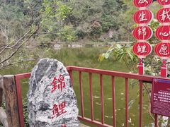 -靖西鹅泉风景区