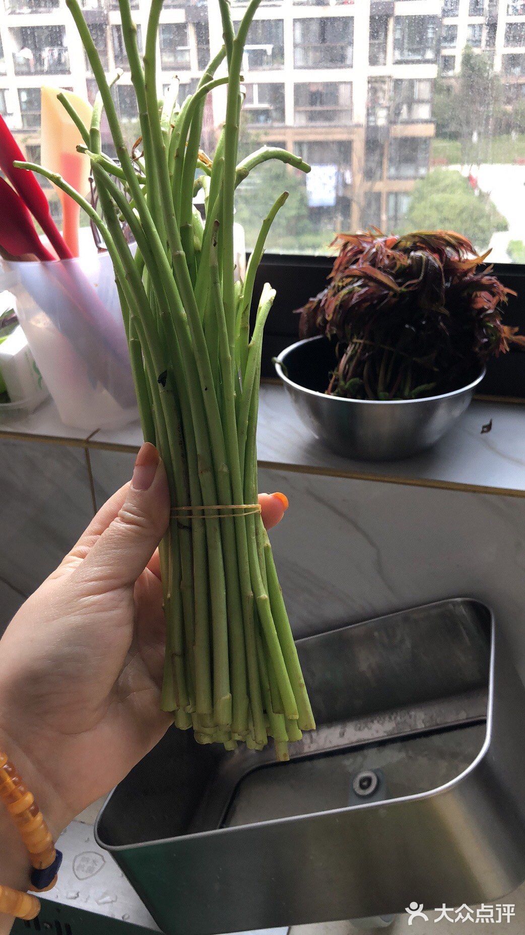 狗鸡头野菜图片