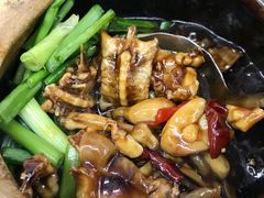 -明辉田鸡粥
