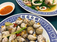 白灼花螺-桂园白粥·潮汕老味道