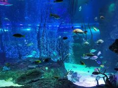 -沈阳海洋探索中心