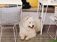 -五进制 Coffee Shop