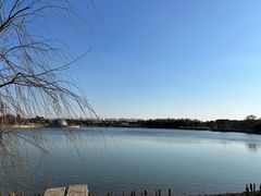 -上海都市菜园