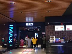 -SFC上影百联影城(川沙IMAX店)