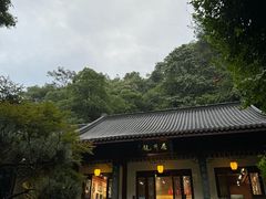 -龙井村