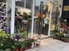 -FEI FEI FLOWER鲜花店·气球派对·宝宝宴布置(虹口德必运动Loft店)