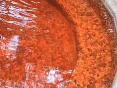 -漳州佰翔圆山酒店·圆山畔西餐厅