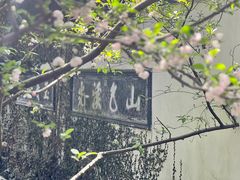 -惠山古镇·寄畅园