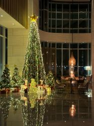 -深圳中洲万豪酒店·宴会厅