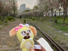 -龙美术馆(西岸馆)