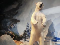 -陕西自然博物馆