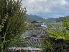 -YLK云南小粒咖啡·云里咖(二号店)