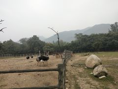 -西安秦岭野生动物园