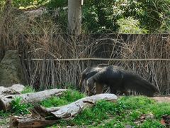 -上海野生动物园