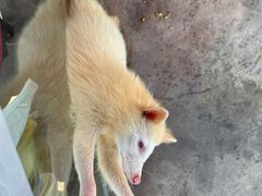 -福州罗源湾海洋世界旅游区
