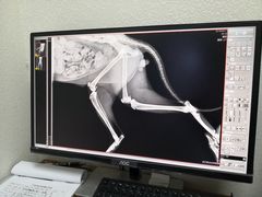 -联合动物医院(光谷诊疗中心)
