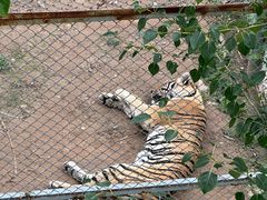-青藏高原野生动物园