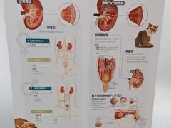 -中农国际动物医院24小时·猫科·骨科·急重症中心